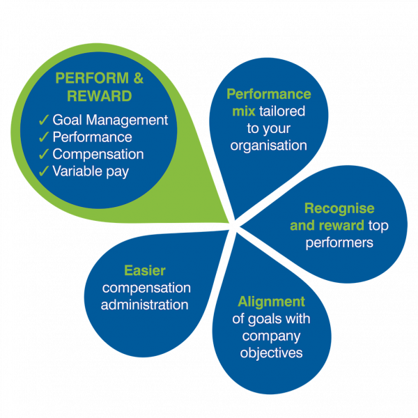 Performance and Reward Management | HR Consultancy | Centric HR